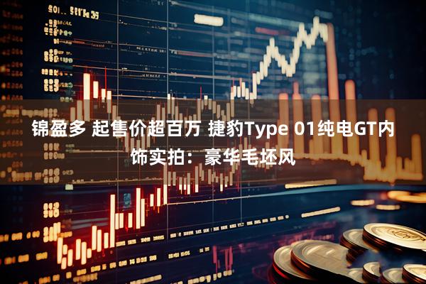 锦盈多 起售价超百万 捷豹Type 01纯电GT内饰实拍：豪华毛坯风